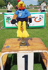 Bild11